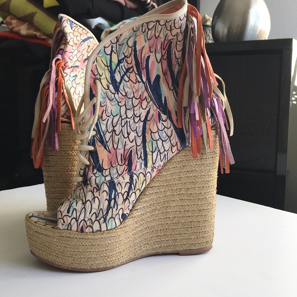 Colorful Wedges